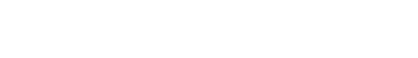 Media Expert